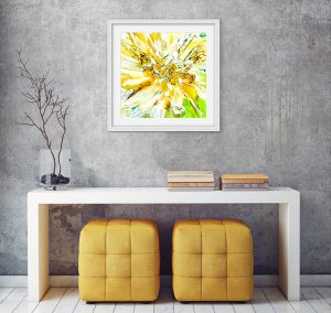 Limited Edition Prints